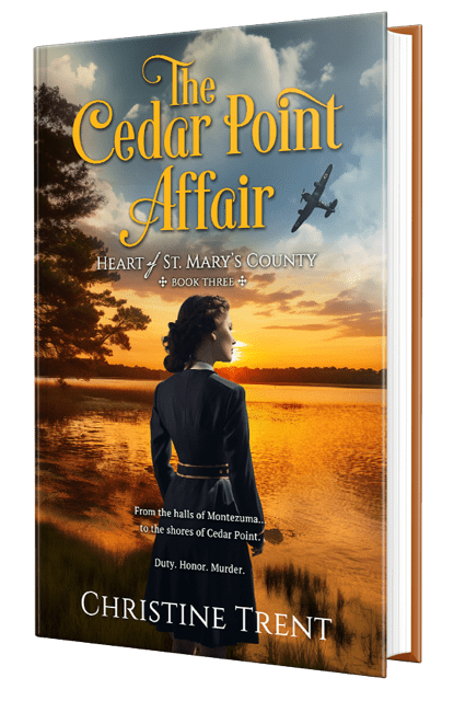 TheCedarPointAffair_3DBook
